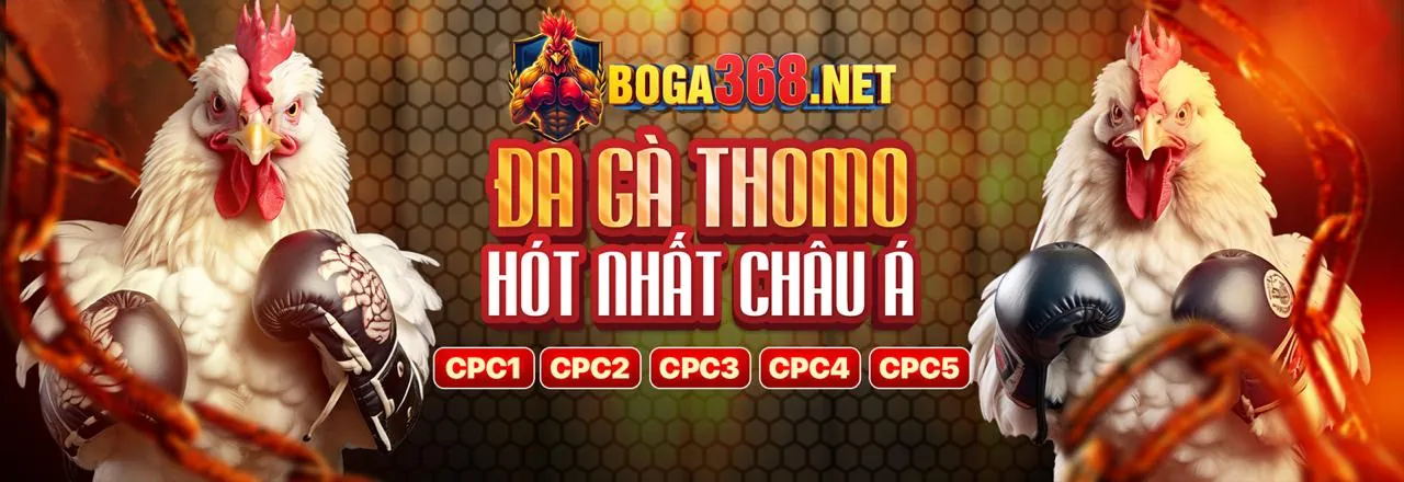 Banner Khuyến Mãi 188K 8Day