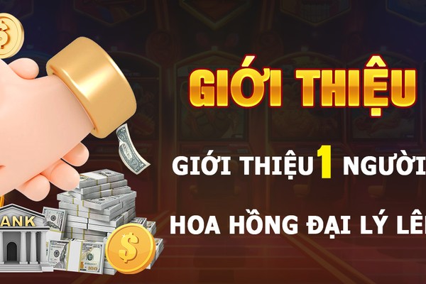 Trưng bày các lợi ích VIP của vn8day