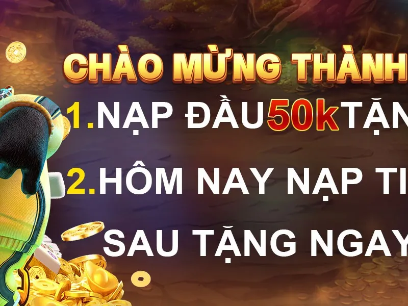 Banner khuyến mãi chào mừng vn8day